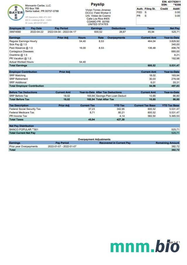 BAYER Paystub 2022